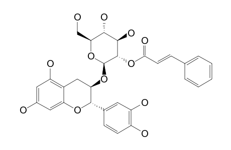 (+)-CATECHIN-3-O-BETA-D-GLUCO-(6-CINNAMOYL)-PYRANOSIDE