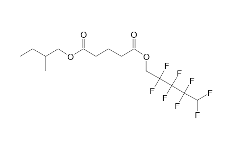 Glutaric acid, 2,2,3,3,4,4,5,5-octafluoropentyl 2-methylbutyl ester