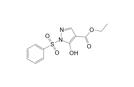 1-(BENZENESULFONYL)-5-HYDROXYPYRAZOLE-4-CARBOXYLATE