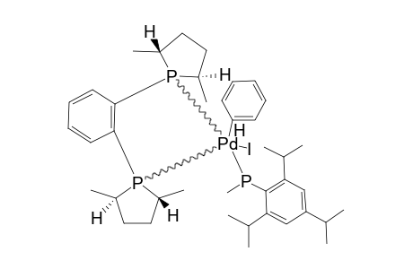 [PD(R,R-ME-DUPHOS)(PH)[P(H)(ME)(IS)]]-[I]