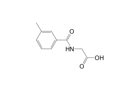 m-methylhippuric acid