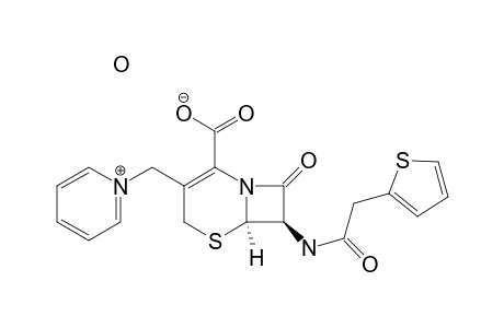 Cephaloridine hydrate