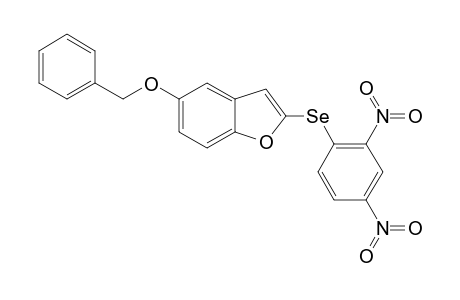 2-(2,4-DINITROPHENYLSELENYL)-5-BENZYLOXYBENZO-[B]-FURAN