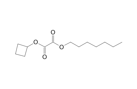 Oxalic acid, cyclobutyl heptyl ester