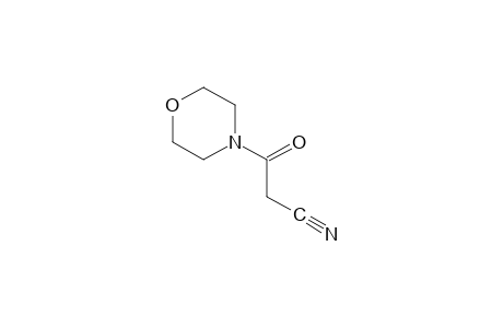 4-(Cyanoacetyl)morpholine