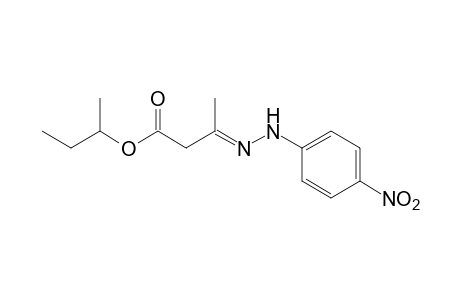 acetoacetic acid, sec-butyl ester, p-nitrophenylhydrazone