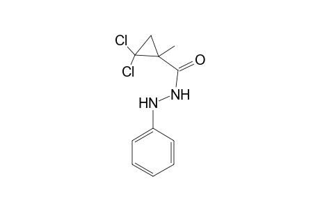 2,2-Dichloro-1-methyl-N'-phenylcyclopropanecarbohydrazide