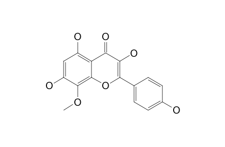 SEXANGULARETIN;SX;8-METHOXYKAEMPFEROL;HERBACETIN_8-METHYLETHER