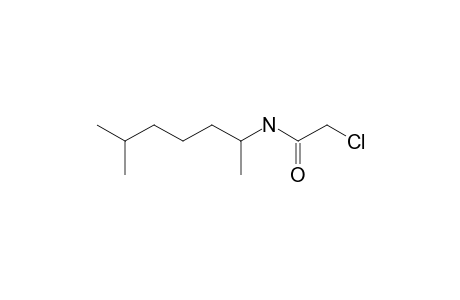 2-chloro-N-(1,5-dimethylhexyl)acetamide