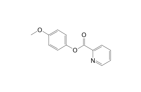 4-Methoxyphenyl picolinate