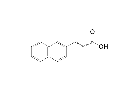 3-(2-Naphthyl)acrylic acid