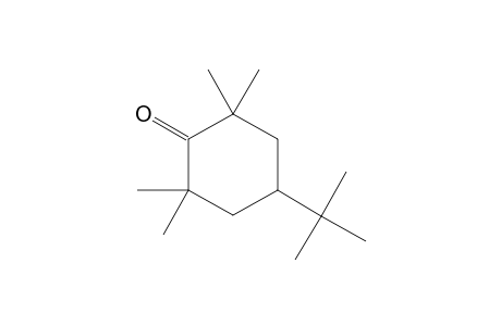 2,2,6,6-Tetramethyl-4-tert-butyl-cyclohexanone