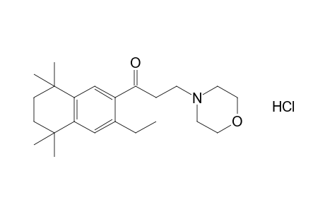 3'-ethyl-3-morpholino-5',6',7',8'-tetrahydro-5',5',8',8'-tetramethyl-2'-propionaphthone, hydrochloride