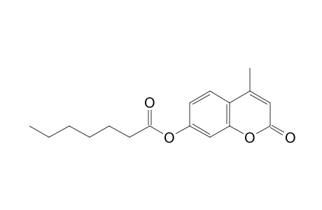 7-hydroxy -4-methylcoumarin, heptanoate