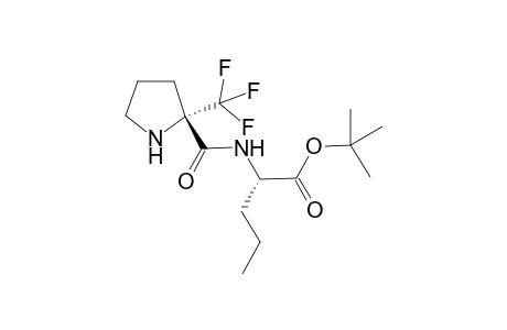 (S)-2-[((S)-2-Trifluoromethyl-pyrrolidine-2-carbonyl)-amino]-pentanoic acid tert-butyl ester