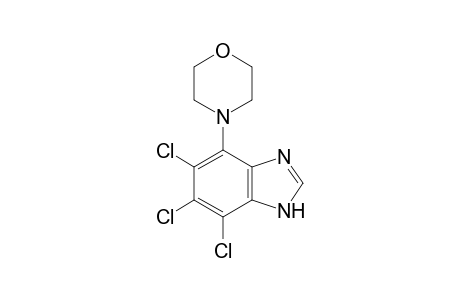 4-morpholino-5,6,7-trichlorobenzimidazole