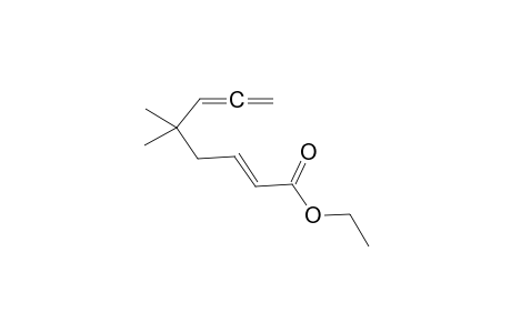 5,5-Dimethyl-2,6,7-octatrienoic acid ethyl ester