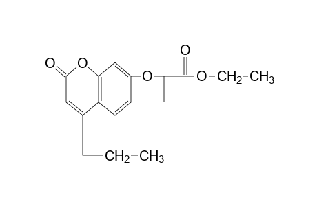 2-[(2-oxo-4-propyl-2H-1-benzopyran-7-yl)oxy]propionic acid, ethyl ester