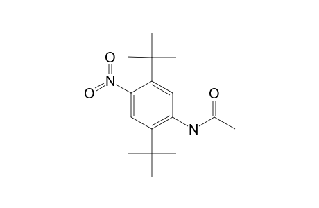 2',5'-di-tert-butyl-4'-nitroacetanilide