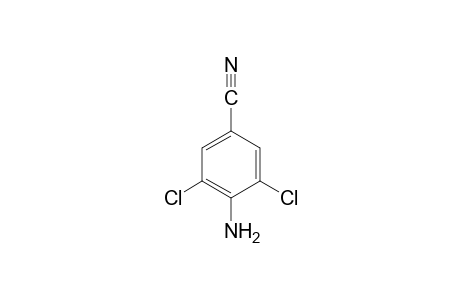 4-Amino-3,5-dichlorobenzonitrile