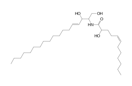 Cer 18:1;2O/12:1;(2OH)