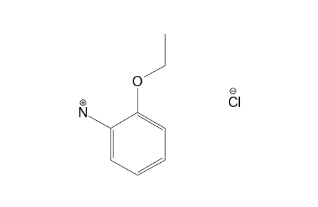 o-phenetidine, hydrochloride