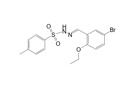 p-toluenesulfonic acid, (5-bromo-2-ethoxybenzylidene)hydrazide