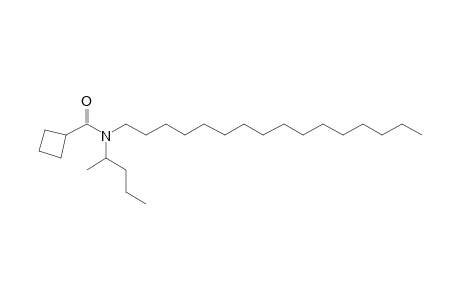 Cyclobutanecarboxamide, N-(2-pentyl)-N-hexadecyl-