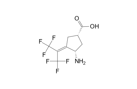 3-Amino-4-[2',2',2'-trifluoro-1'-(trifluoromethyl)ethylidene]cyclopentane-1-carboxylic Acid
