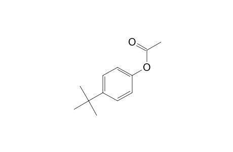 p-tert-butylpenol, acetate