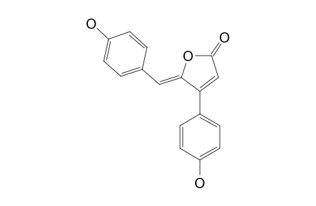 RUBROLIDE_E