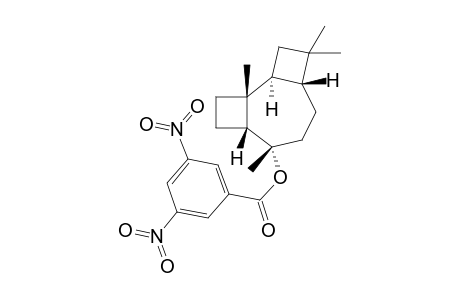 (1S, 2R, 5R, 6S, 9R)-2,6,10,10-Tetramethyltricyclo[7.2.0.0(2,5)]undecan-6-yl-3',5'-Dinitrobenzoate