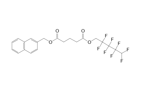 Glutaric acid, 2,2,3,3,4,4,5,5-octafluoropentyl (2-naphthyl)methyl ester