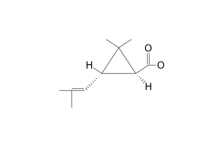 TRANS-CHRYSANTHEMINIC-ACID