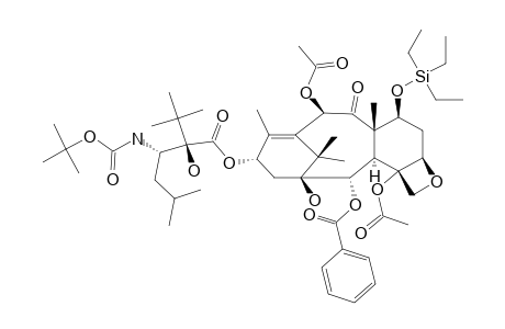 2'-TERT.-BUTYL-TAXANE;MAJOR-ISOMER