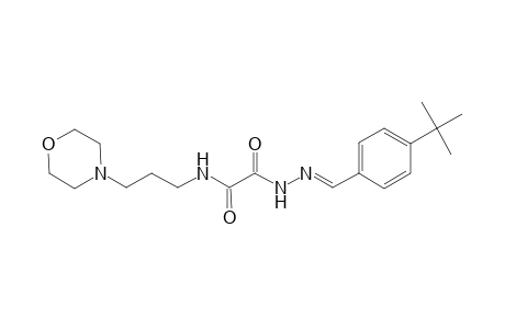 2-[(2E)-2-(4-tert-butylbenzylidene)hydrazino]-N-[3-(4-morpholinyl)propyl]-2-oxoacetamide