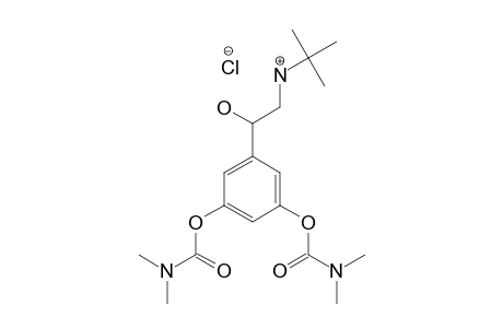 BAMBUTEROL_HYDROCHLORIDE;BHC;5-(2-(TERT.-BUTYLAMINO)-1-HYDROXYETHYL)-META-PHENYLENE-BIS-(DIMETHYLCARBAMATE)-HYDROCHLORIDE