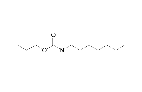 Carbamic acid, N-methyl-N-heptyl-, propyl ester