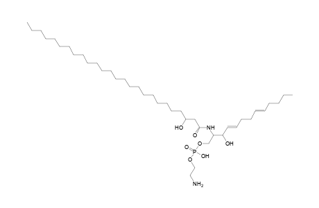PE-Cer 13:2;2O/26:0;O
