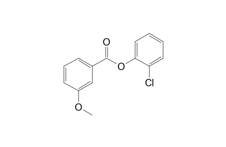 m-Methoxybenzoic acid, 2-chlorophenyl ester