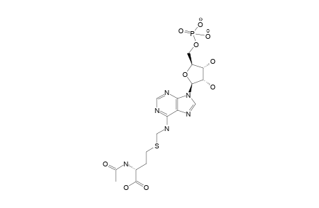 N6-(S-(N-Acetyl)-homocysteinyl)-methyladenosine-5'-phosphate