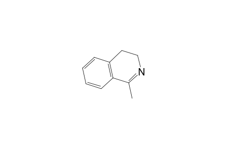 1-Methyl-3,4-dihydro-isoquinoline