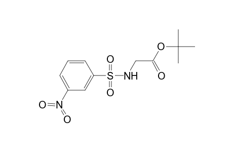acetic acid, [[(3-nitrophenyl)sulfonyl]amino]-, 1,1-dimethylethyl ester