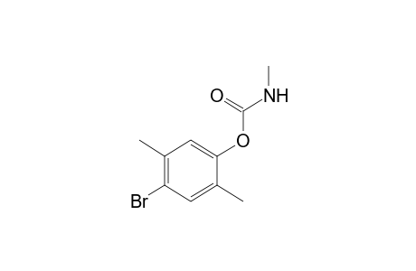 4-bromo-2,5-xylenol, methylcarbamate