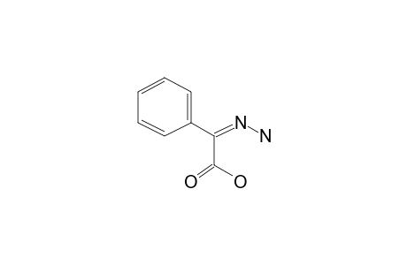 Benzeneacetic acid, .alpha.-hydrazono-