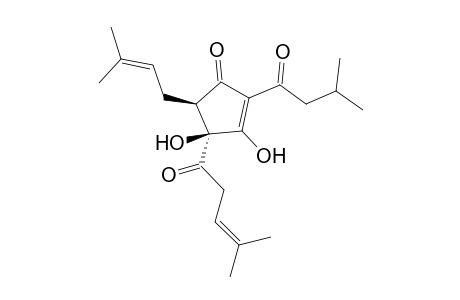 trans-Iso-humulone