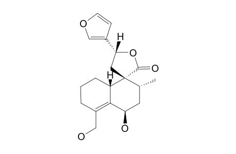 12-EPI-MONTANIN-B