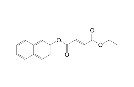 Fumaric acid, ethyl 2-naphthyl ester