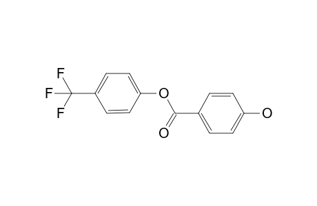 p-Hydroxy-.alpha.,.alpha.,.alpha.-trifluoro-p-tolyl ester of benzoic acid