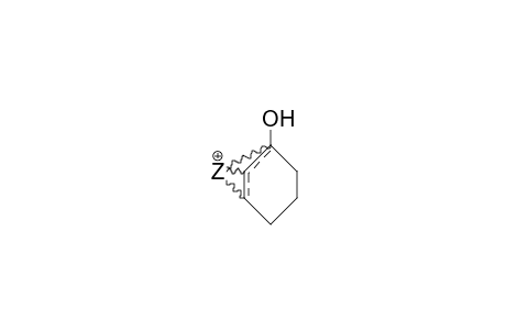 1-Hydroxy-2-cyclohexenyl cation